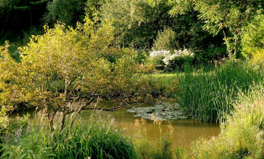 Auberge Restaurant La Mara Saint-Joseph-de-Ham-Sud Kültér fotó